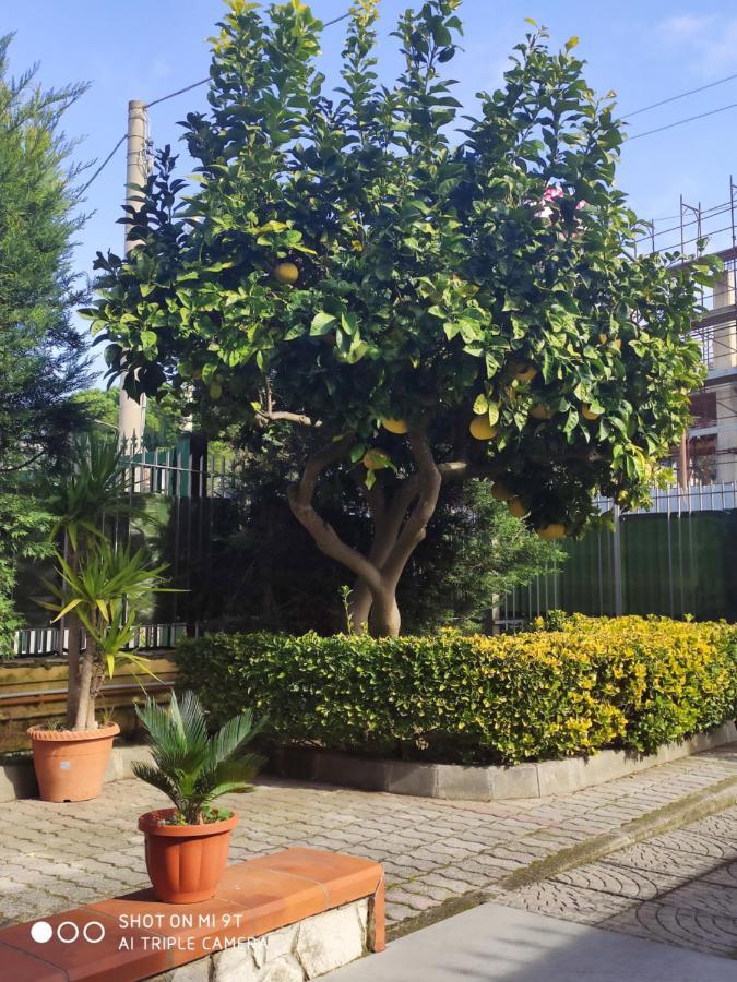 Ferienwohnung I Colori Del Vesuvio San Sebastiano al Vesuvio Exterior foto